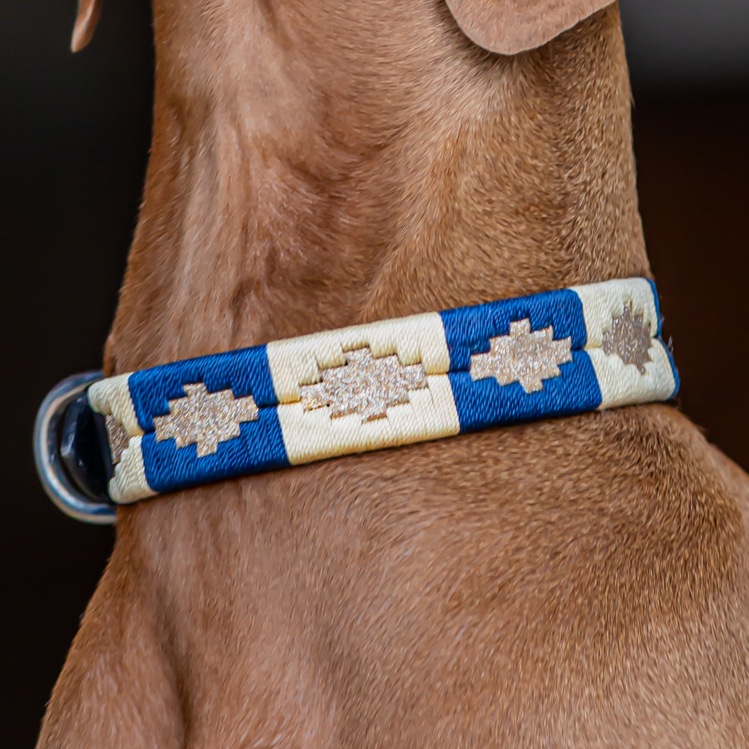 Hundehalsband Match S