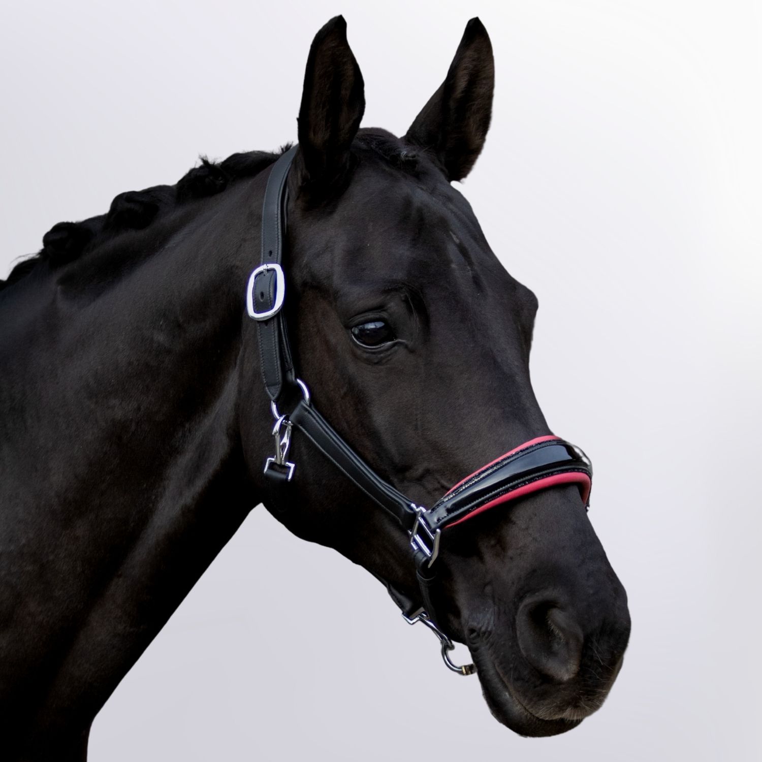 Lederhalfter Glory Pink-unterlegt Schwarz Glitzer